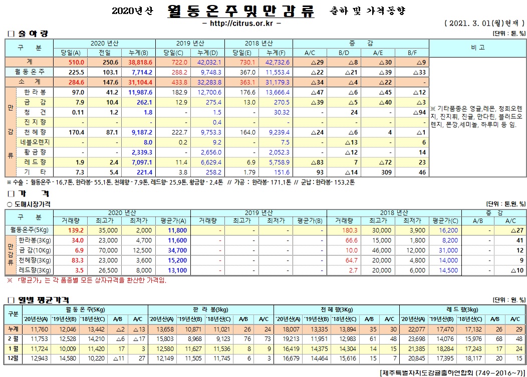 [월동&만감]2020년산 출하 및 가격동향(3/01)