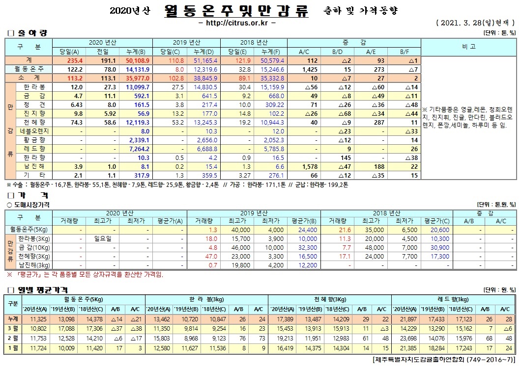 [월동&만감]2020년산 출하 및 가격동향(3/28)