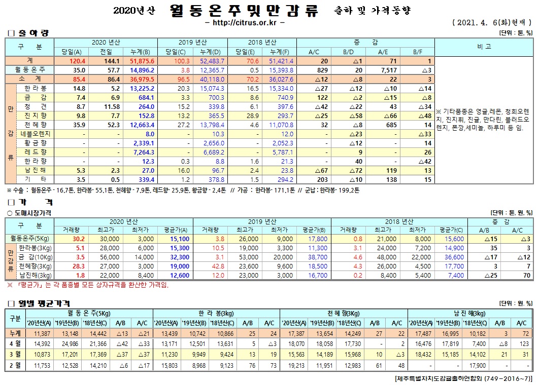 [월동&만감]2020년산 출하 및 가격동향(4/06)