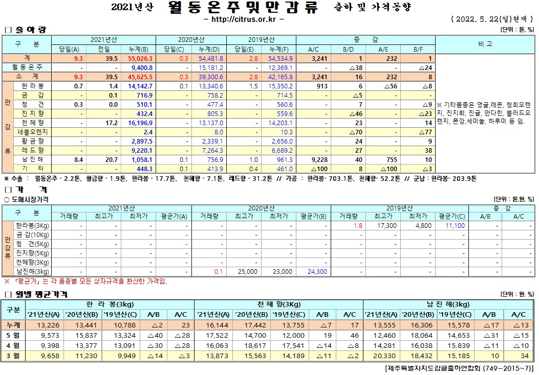 [월동&만감]2021년산 출하 및 가격동향(5/22)