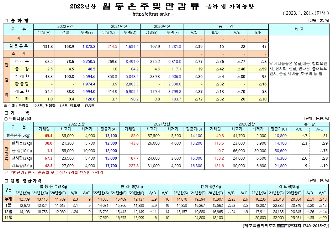 [월동&만감]2022년산 출하 및 가격동향(1/28)