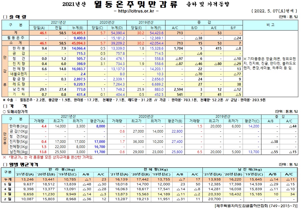 [월동&만감]2021년산 출하 및 가격동향(5/07)