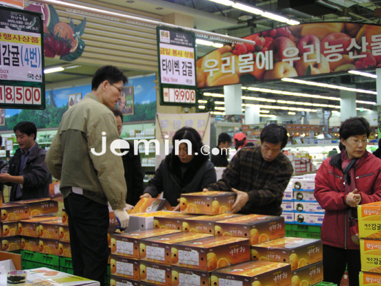 <b>노지감귤 가격, 품질·소비심리에 달렸다  </b>