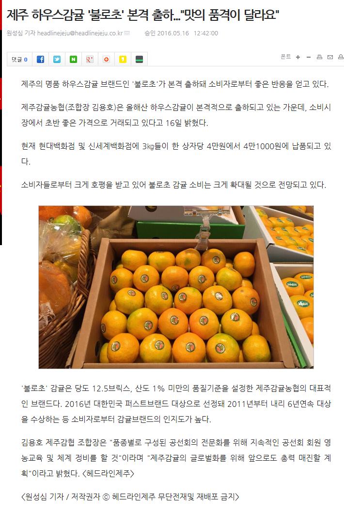 하우스감귤"불로초"본격출하..."맛의 품격이 달라요"