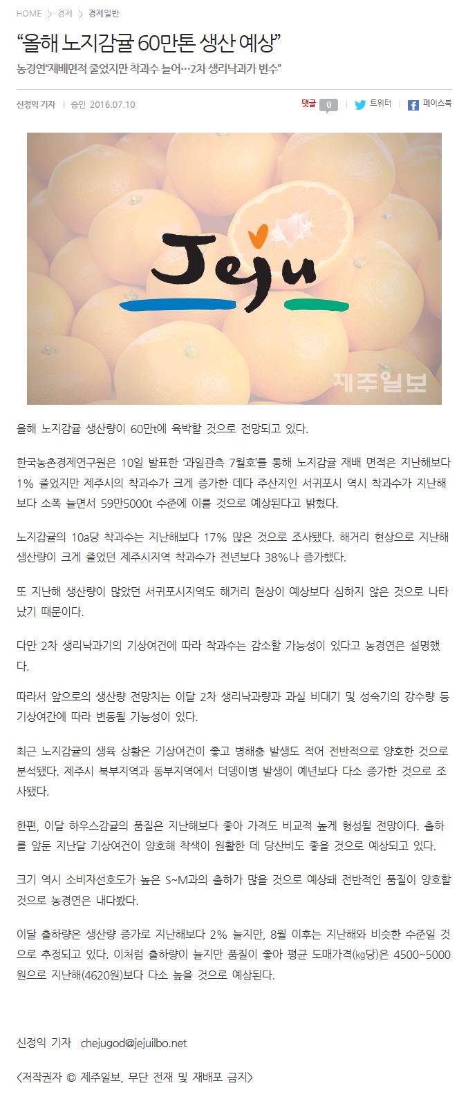 "올해 노지감귤 60만톤 생산 예상"