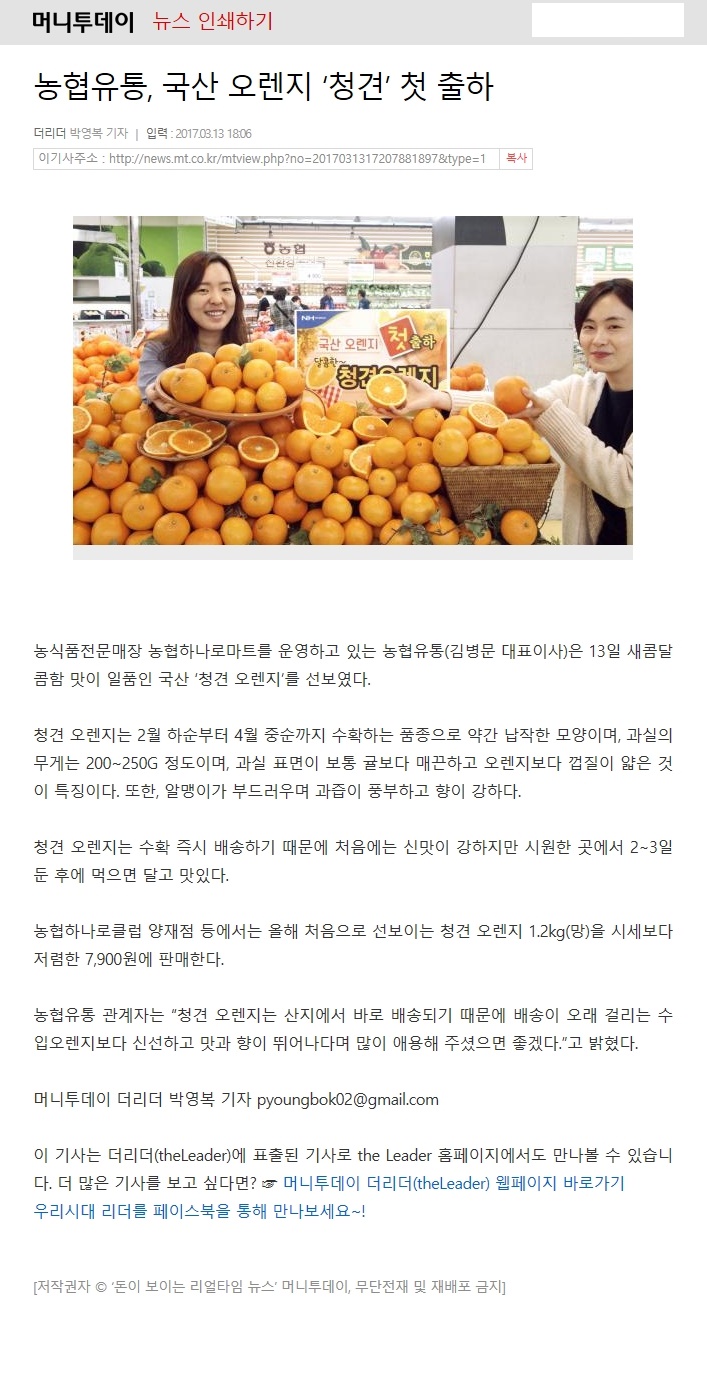 농협유통, 국산 오렌지 "청견" 첫 출하