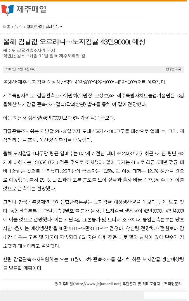 올해 감귤값 오르려나... 노지감귤 43만 9000t 예상
