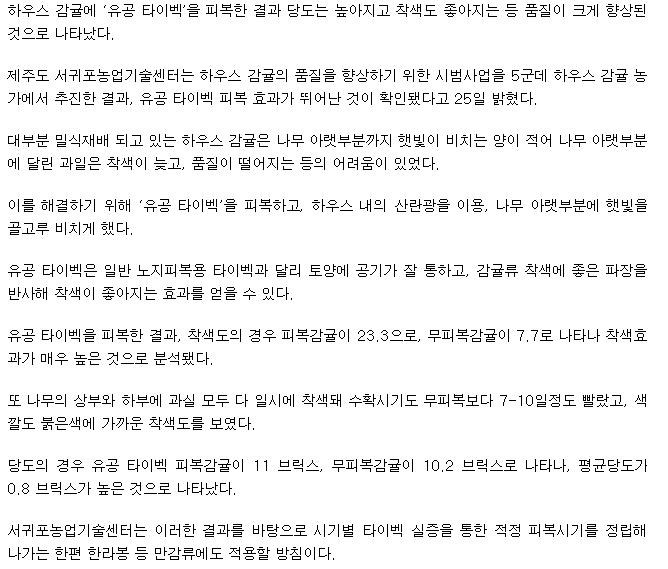 극조생 하우스감귤 ‘당도’‘때깔’ 좋아진 비결은?