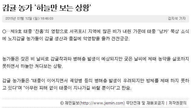 감귤농가 "하늘만 보는 상황"