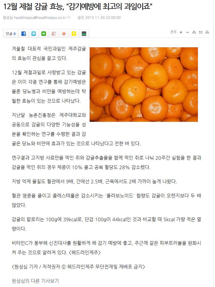 12월 제철 감귤 효능"감기예방에 최고의 과일이죠"